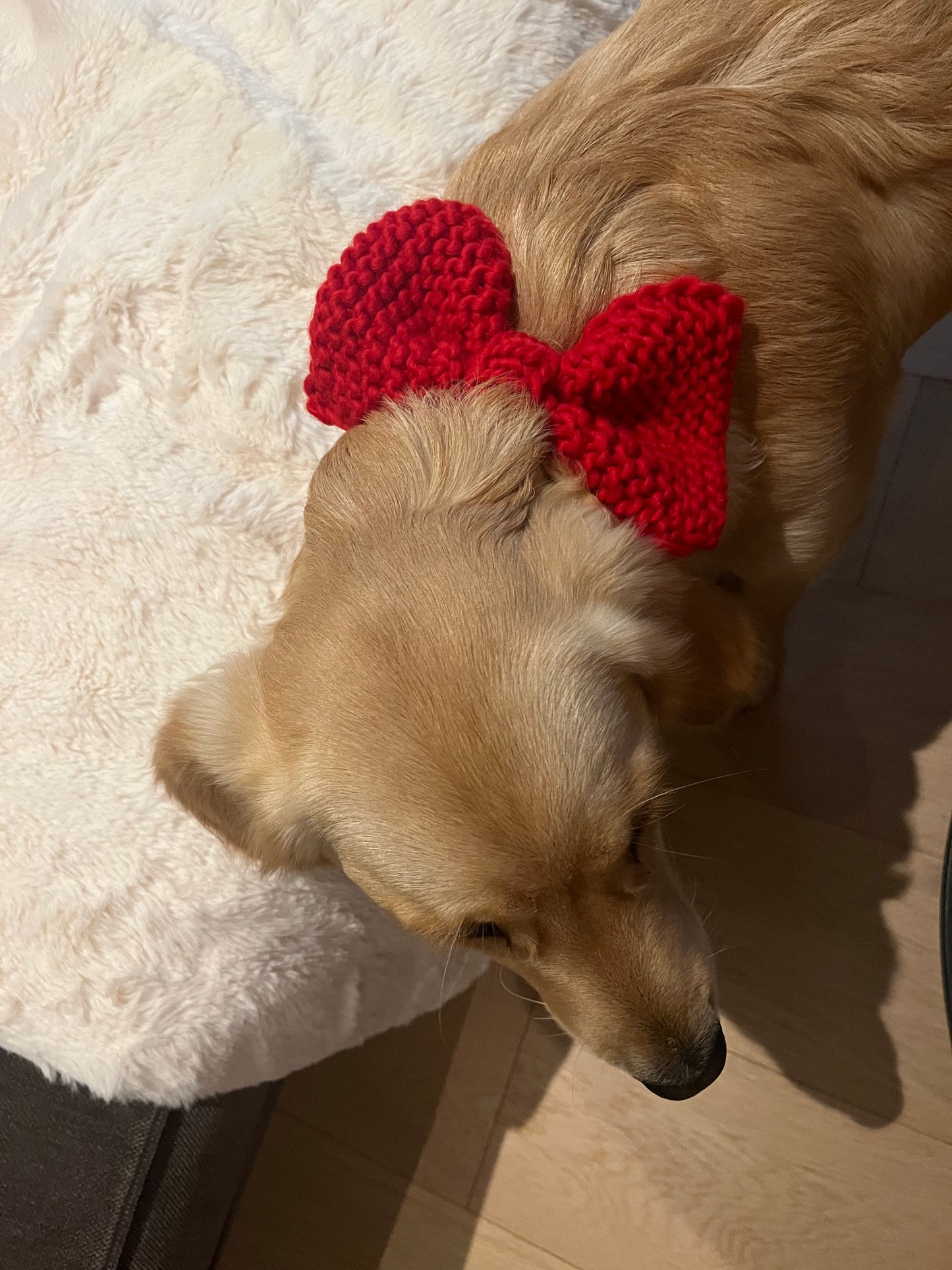 Christmas bow